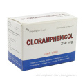 Chloramphenicol Capsules